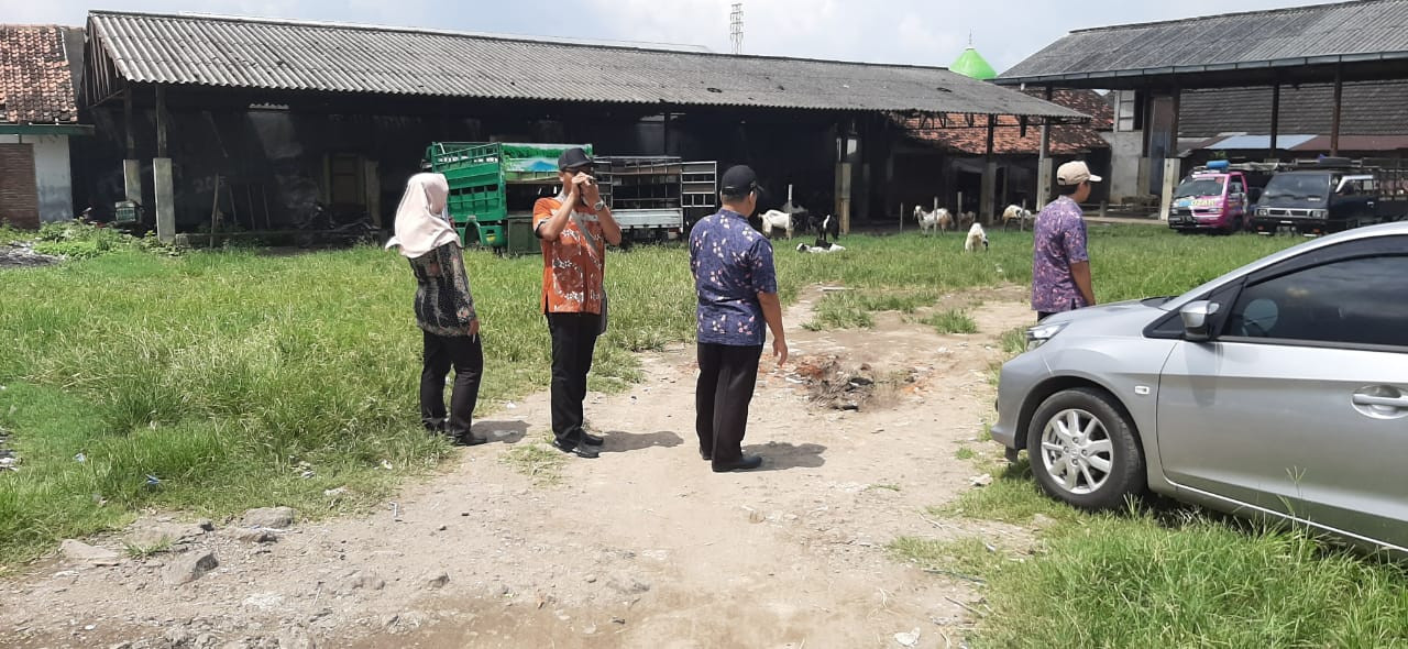 Survey Pengembangan Pasar Gajah